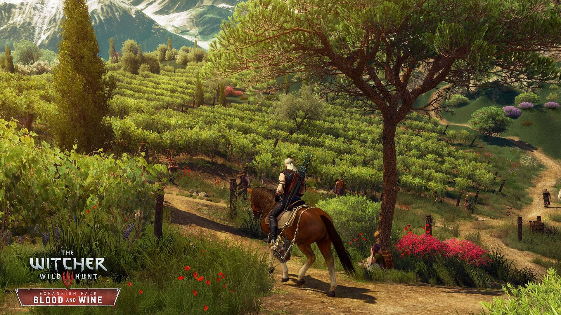 The Witcher 3: Wild Hunt - Blood & Wine - Imagen 47